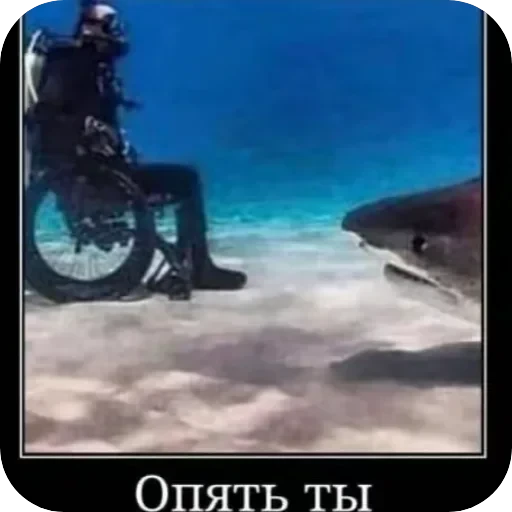 Полезные — 19