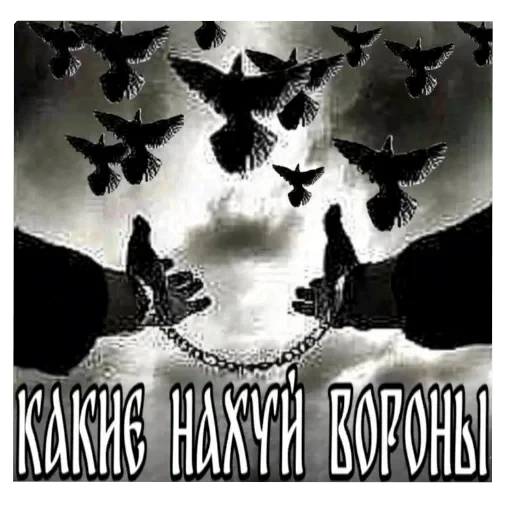 Полезные — 25