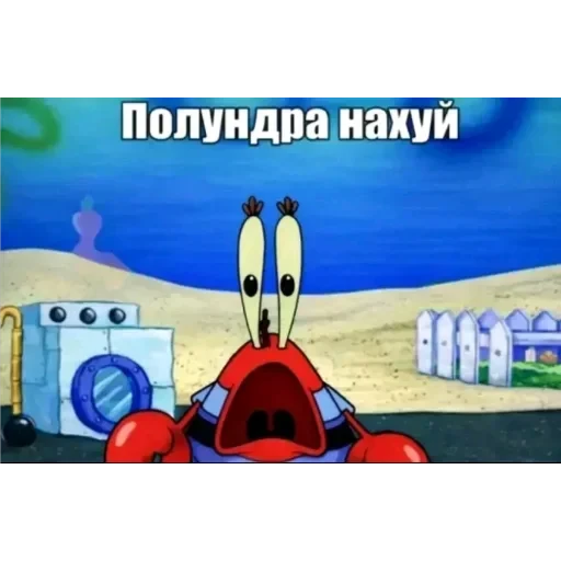 Полезные — 31