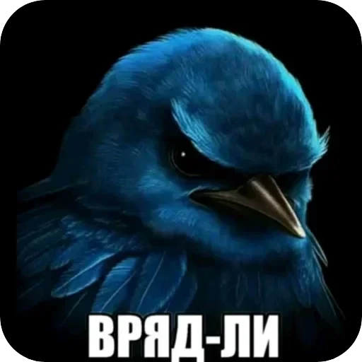 Полезные — 49