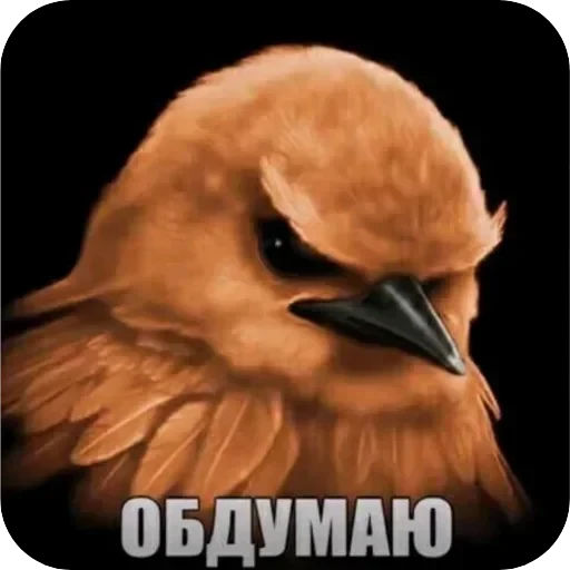 Полезные — 50
