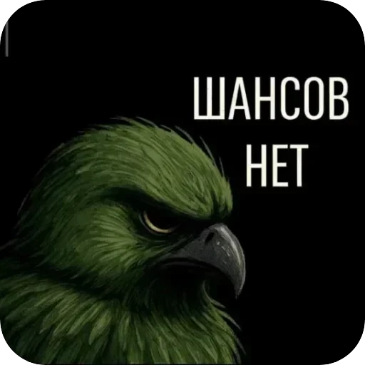 Полезные — 53