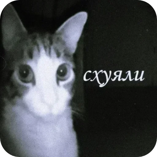 Полезные — 54