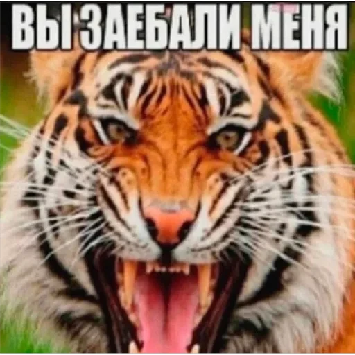 Полезные — 59