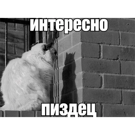 Полезные — 60