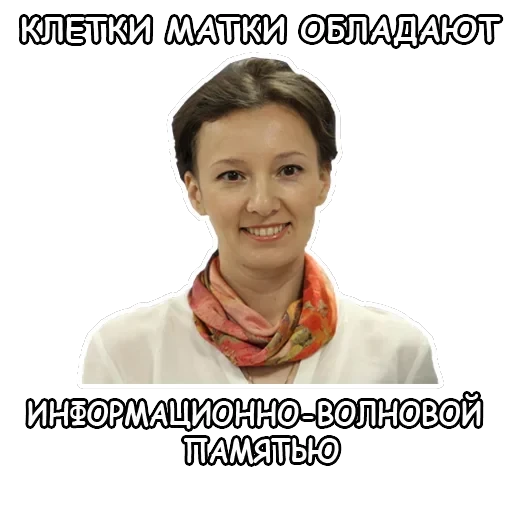 Политека — 21