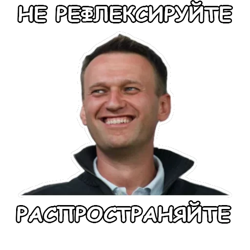 Политека — 44