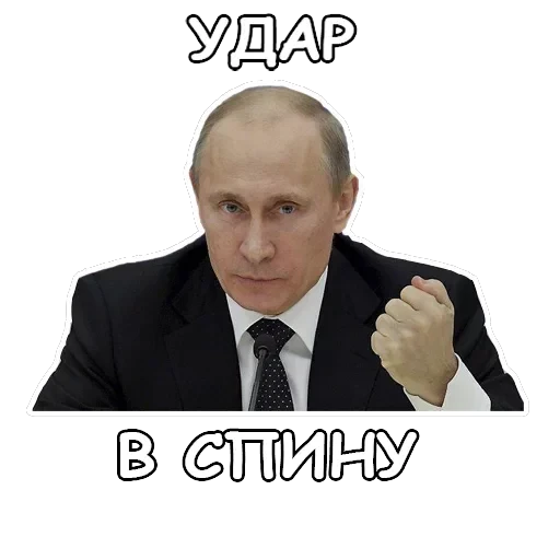 Политека — 6