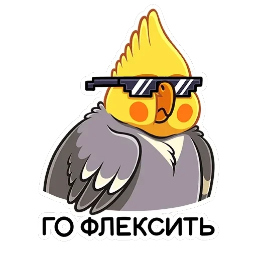 Попка — 4