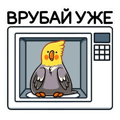 Попка — 31