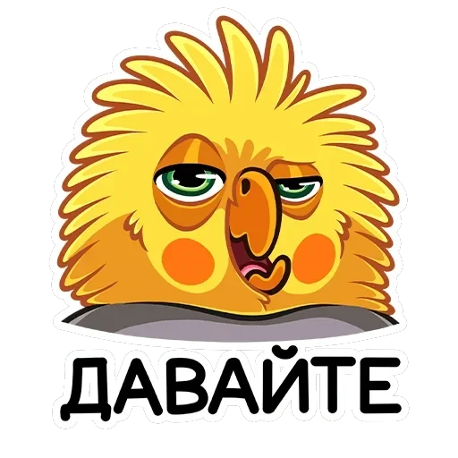 Попка — 41