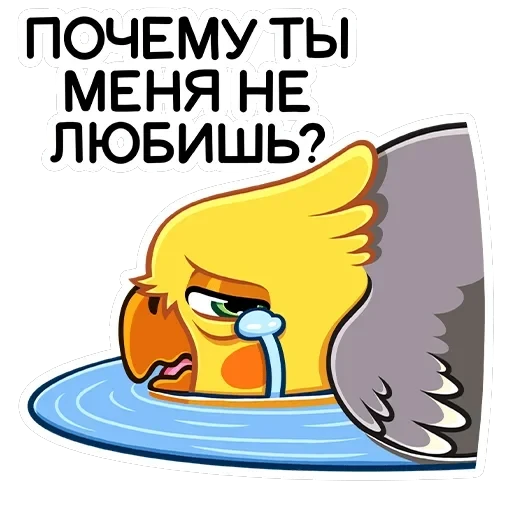 Попка — 45