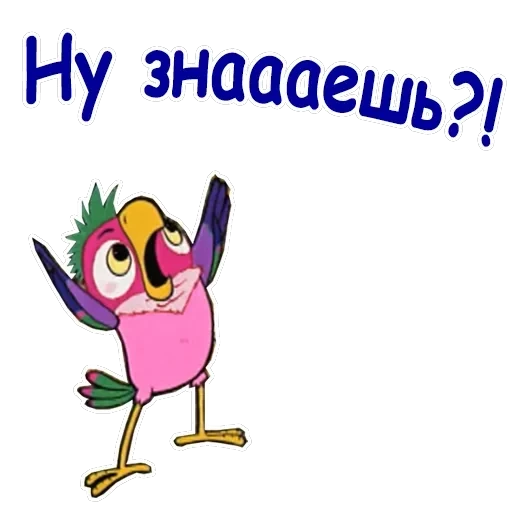 Попугай Кеша-1 — 13