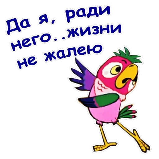 Попугай Кеша-1 — 14