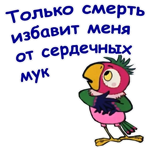 Попугай Кеша-1 — 16