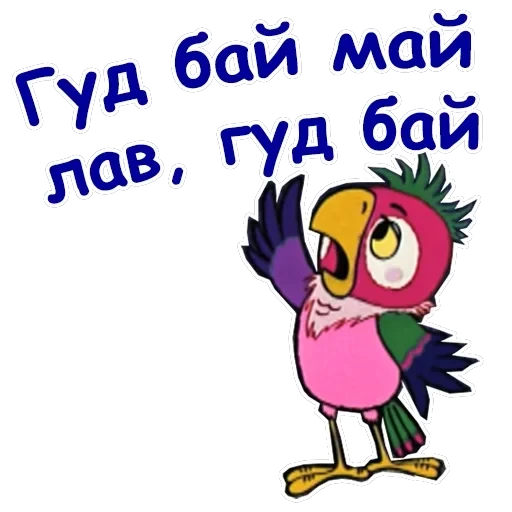 Попугай Кеша-1 — 17