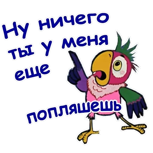 Попугай Кеша-1 — 18