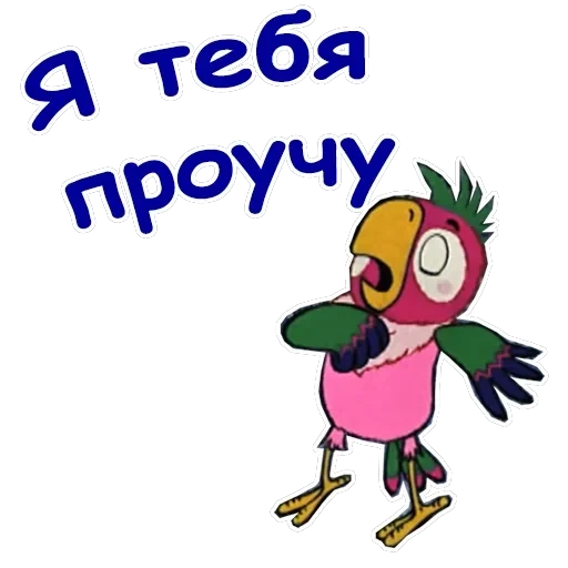 Попугай Кеша-1 — 19
