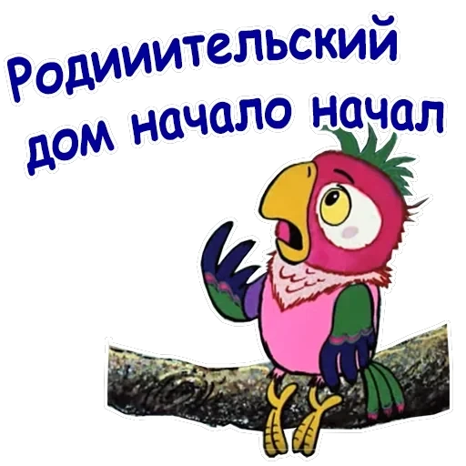 Попугай Кеша-1 — 25