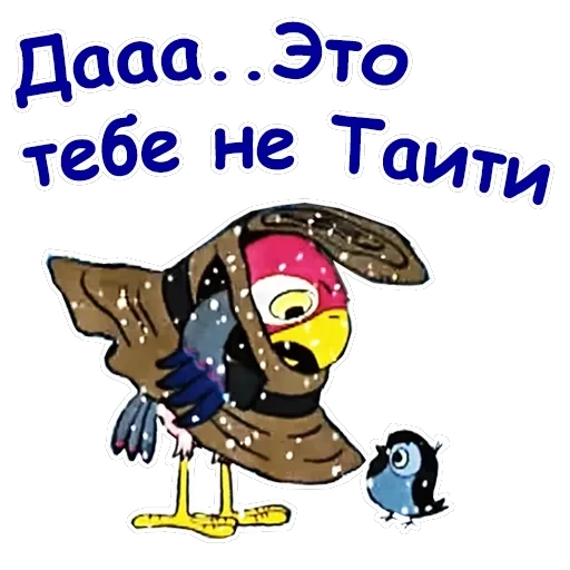 Попугай Кеша-1 — 35