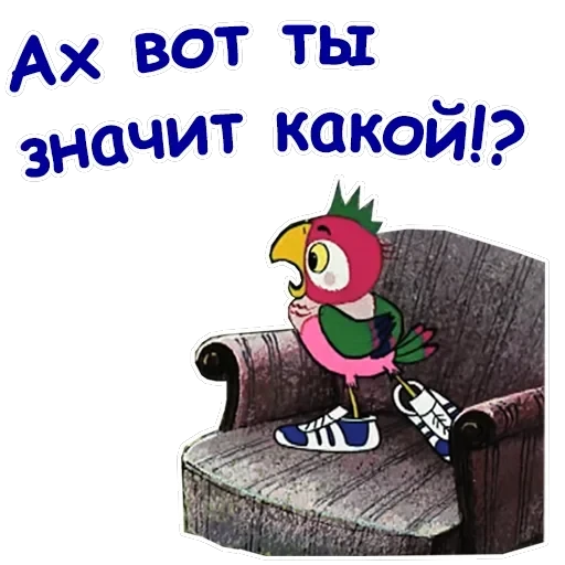 Попугай Кеша-1 — 8