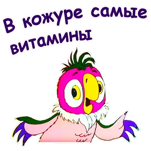 Попугай Кеша-4 — 16