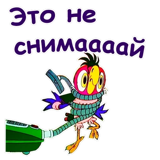 Попугай Кеша-4 — 10