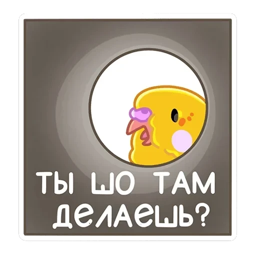 Попуги — 25