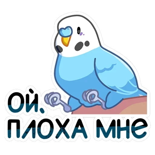 Попуги — 42