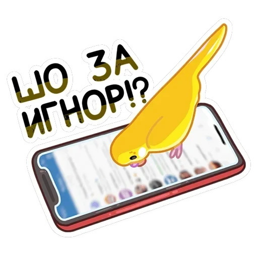 Попуги — 46