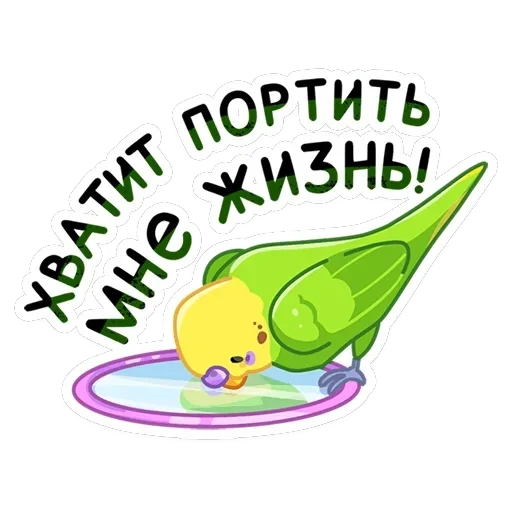 Попуги — 6