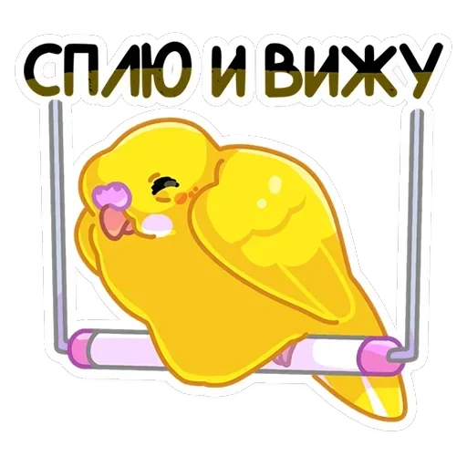 Попуги — 7