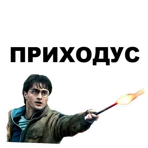 Potter — 11