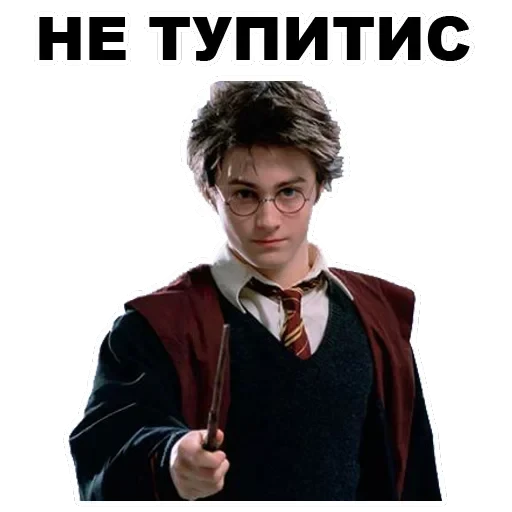 Potter — 13
