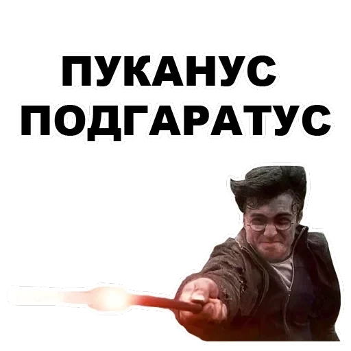 Potter — 14