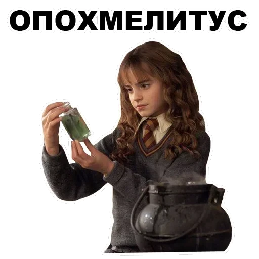 Potter — 17