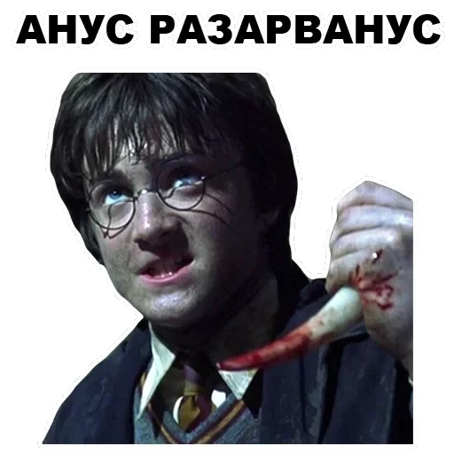 Potter — 6