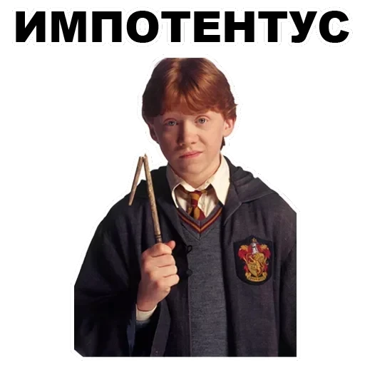 Potter — 51