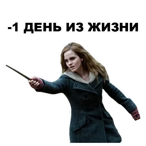 Potter — 9