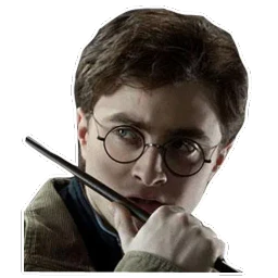 Potter