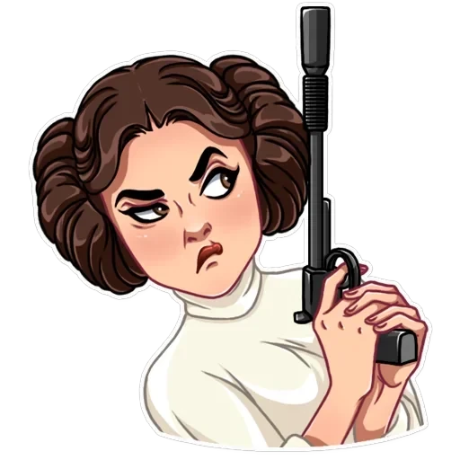 Princess Leia — 11