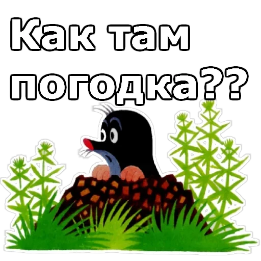 Про Крота — 14
