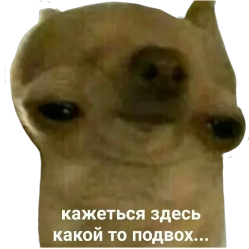 Просто стикер — 2