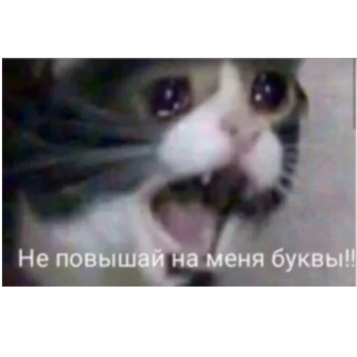 Просто стикер — 12