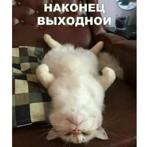 Просто стикер — 13