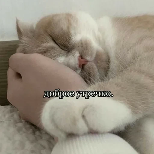 Просто стикер — 15
