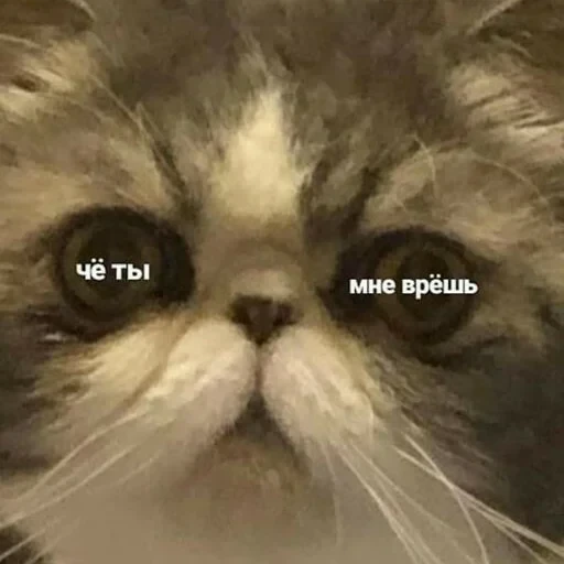 Просто стикер — 17