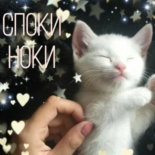 Просто стикер — 18