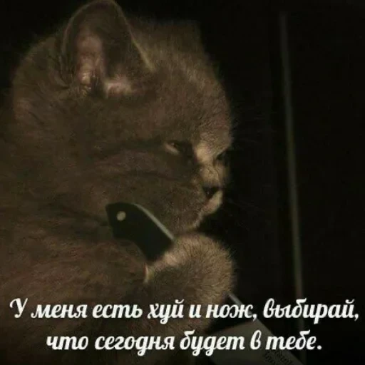 Просто стикер — 20