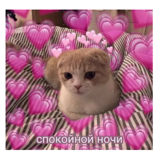 Просто стикер — 3